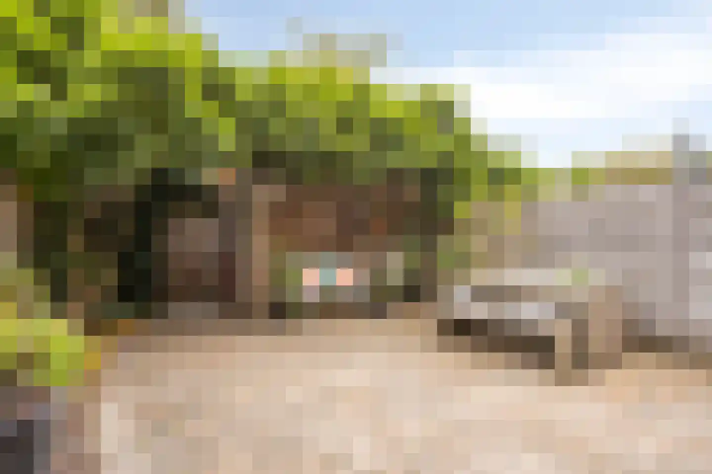 Schrijverskwartier 41 Heemskerk thumbnail 23