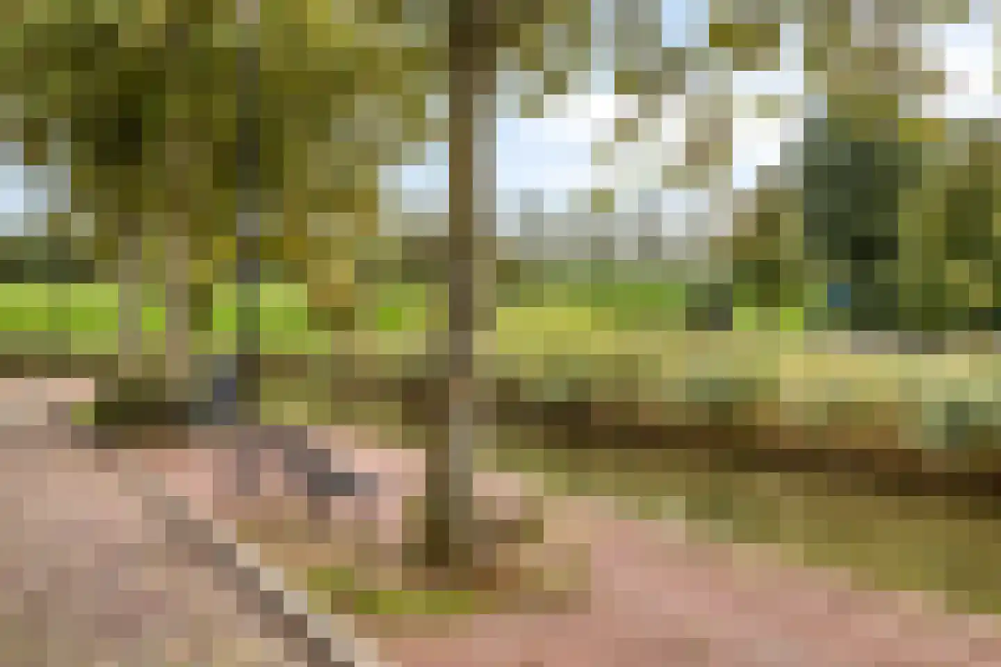 Schrijverskwartier 41 Heemskerk thumbnail 27