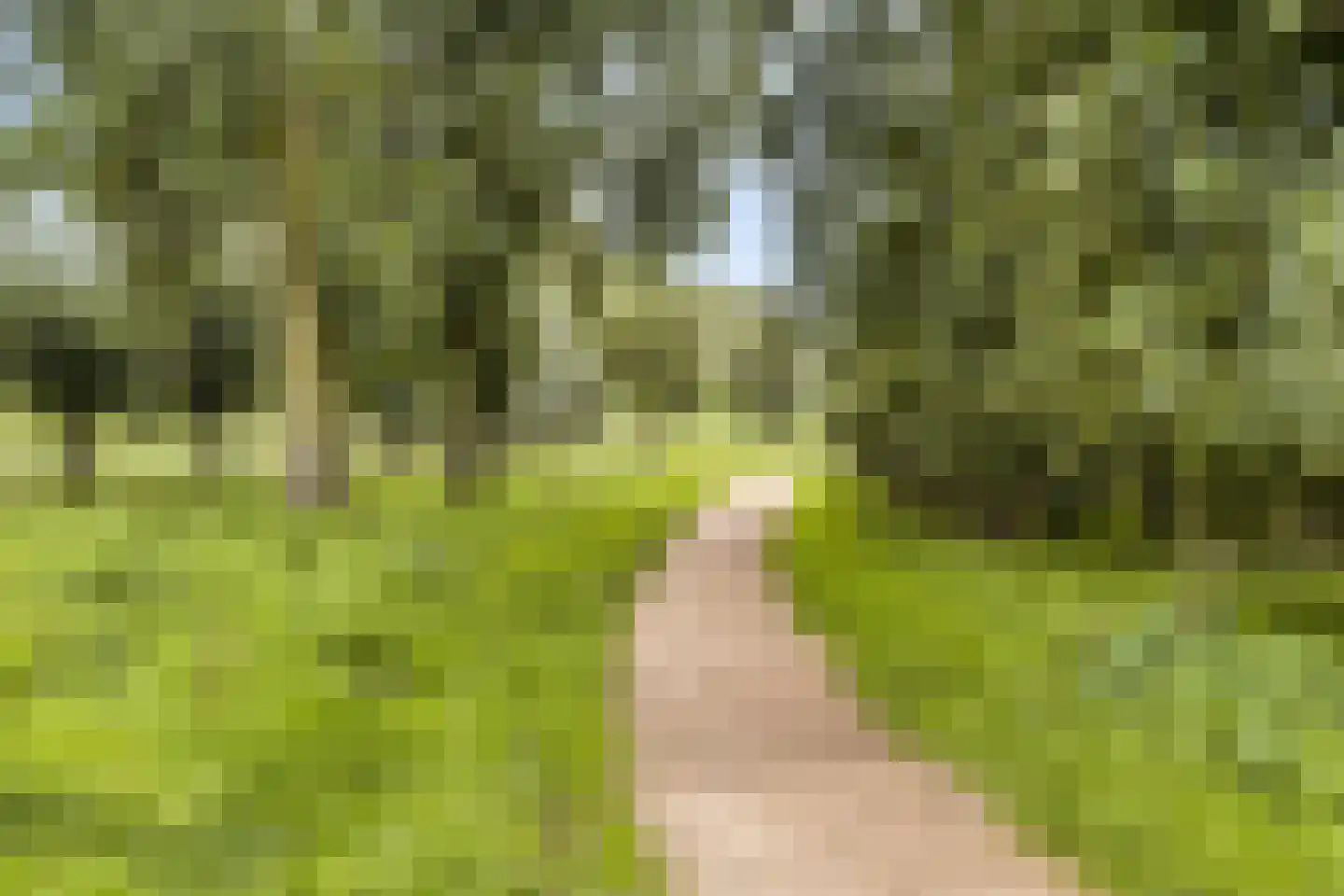 Schrijverskwartier 41 Heemskerk thumbnail 28
