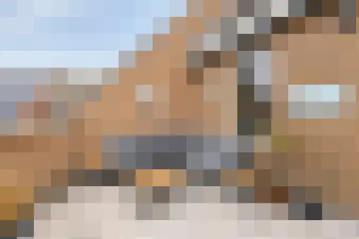 Schrijverskwartier 65 Heemskerk thumbnail 15