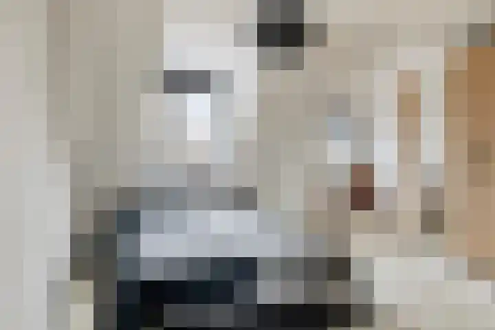 Schrijverskwartier 65 Heemskerk thumbnail 17