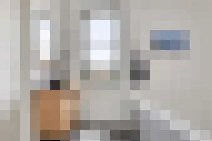 Schrijverskwartier 65 Heemskerk thumbnail 20