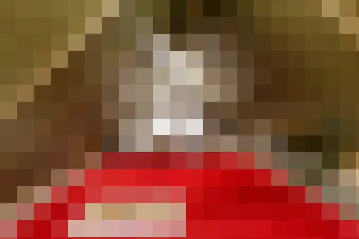 Schrijverskwartier 65 Heemskerk thumbnail 22