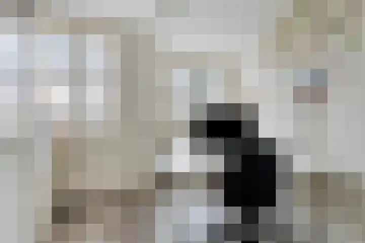 Schrijverskwartier 65 Heemskerk thumbnail 26