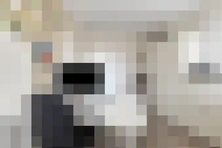 Schrijverskwartier 65 Heemskerk thumbnail 27