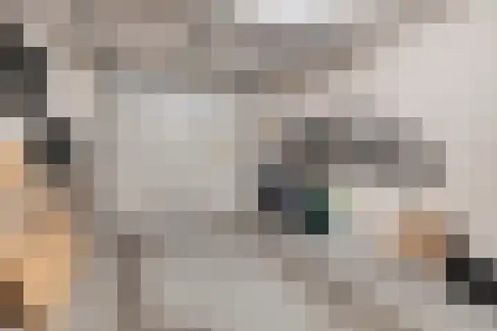 Schrijverskwartier 65 Heemskerk thumbnail 28