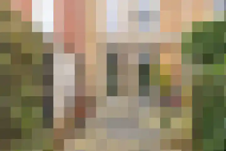 Schrijverskwartier 65 Heemskerk thumbnail 29