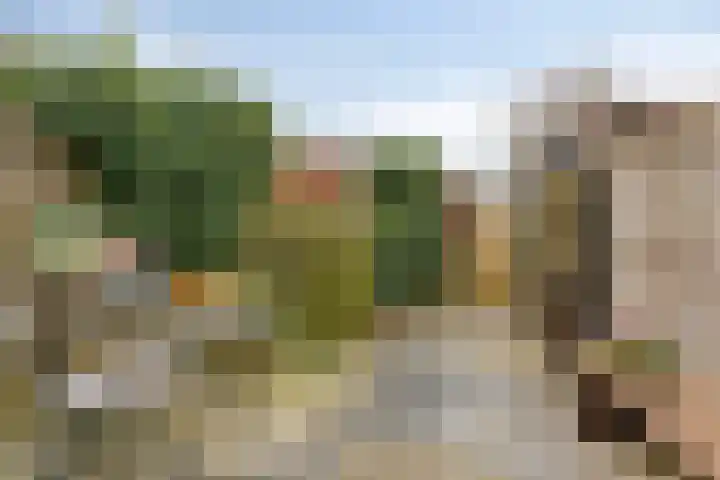 Schrijverskwartier 65 Heemskerk thumbnail 30