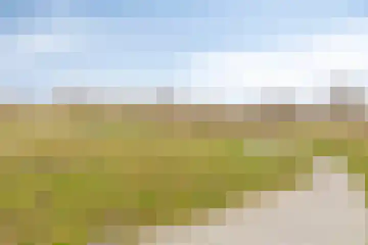 Schrijverskwartier 65 Heemskerk thumbnail 33
