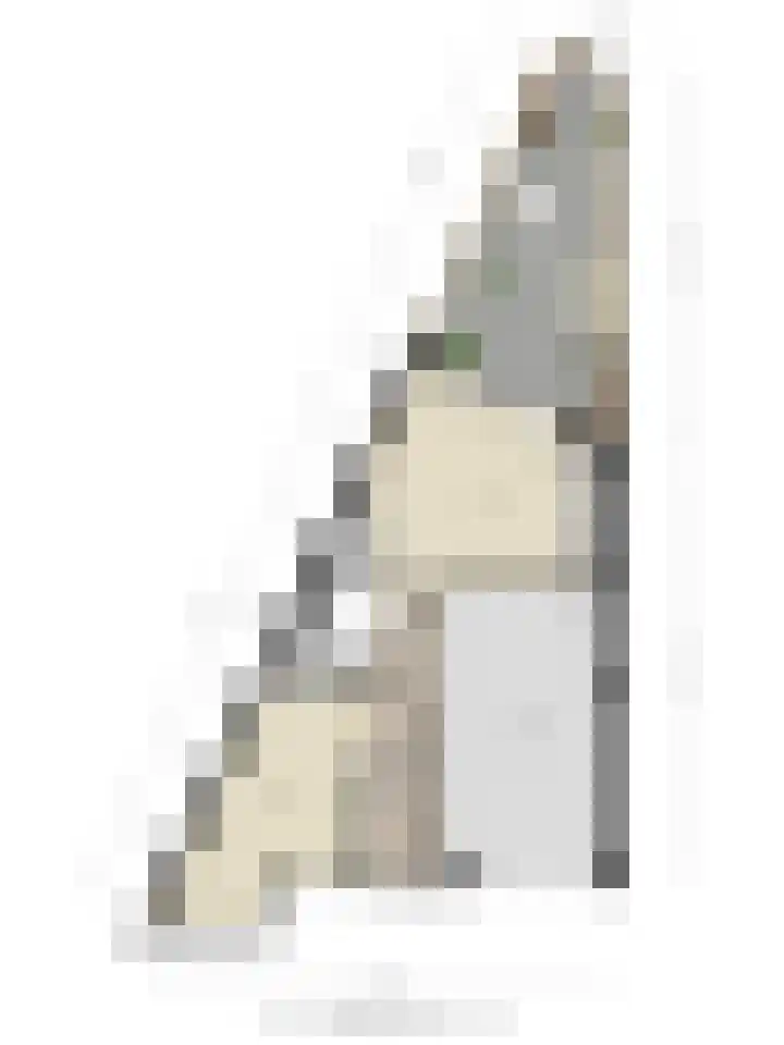Schrijverskwartier 65 Heemskerk thumbnail 34