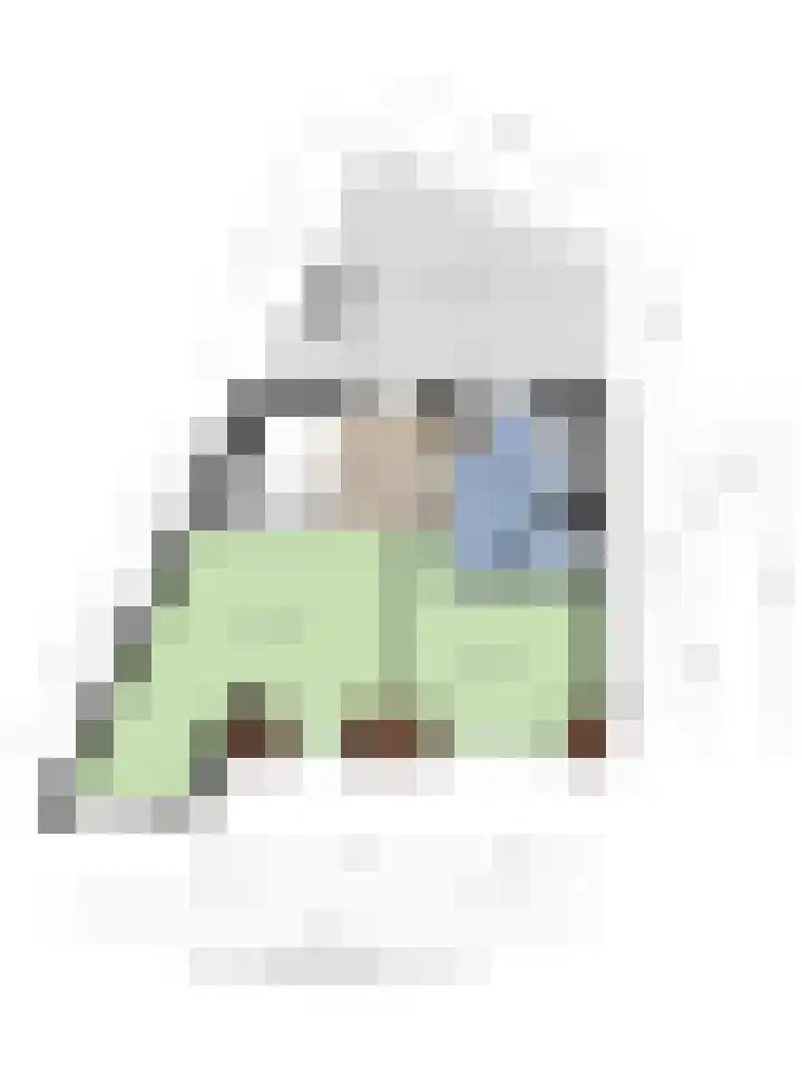 Schrijverskwartier 65 Heemskerk thumbnail 37