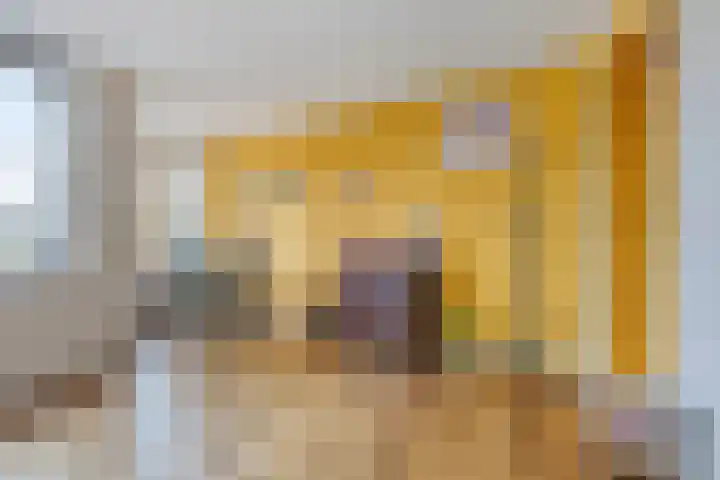 Schrijverskwartier 65 Heemskerk thumbnail 4