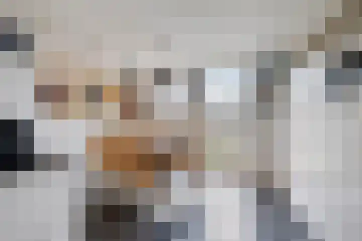 Schrijverskwartier 65 Heemskerk thumbnail 5