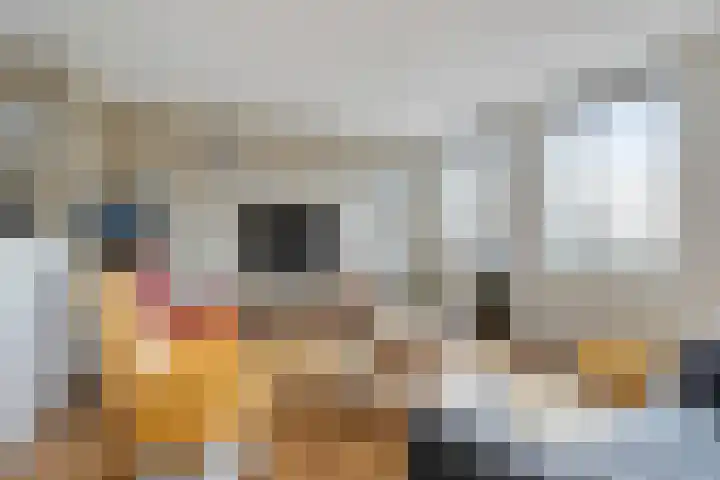 Schrijverskwartier 65 Heemskerk thumbnail 6