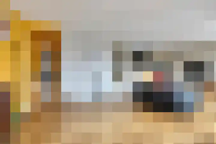 Schrijverskwartier 65 Heemskerk thumbnail 7