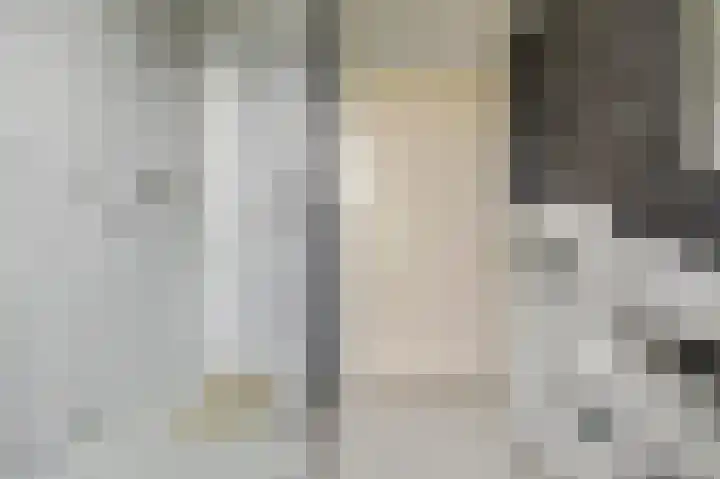 Schrijverslaantje 17 Gorinchem thumbnail 13