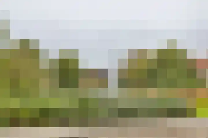 Schrijverslaantje 17 Gorinchem thumbnail 22