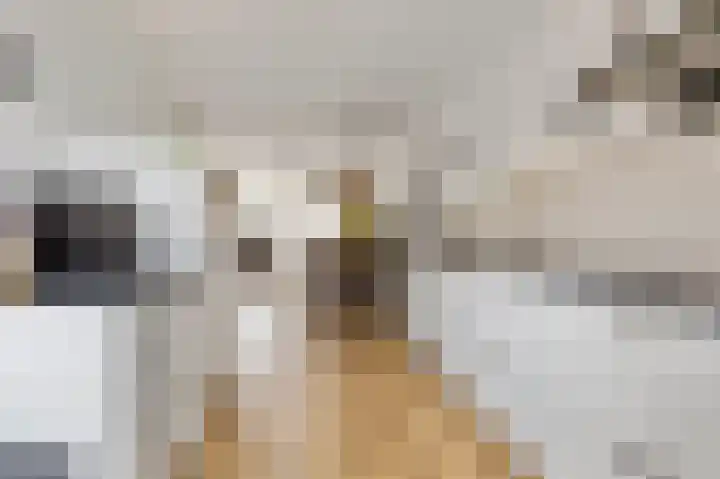 Schrijverslaantje 17 Gorinchem thumbnail 8