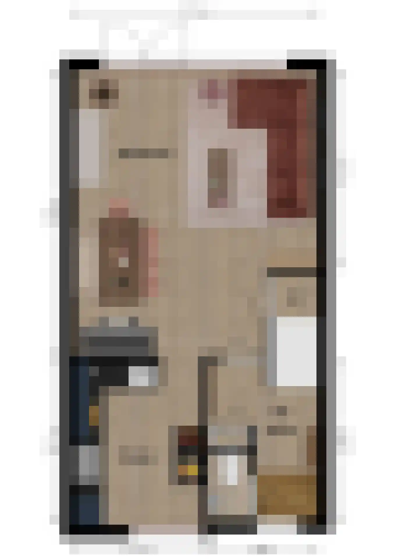 Schrijverslaantje 30 Gorinchem thumbnail 31