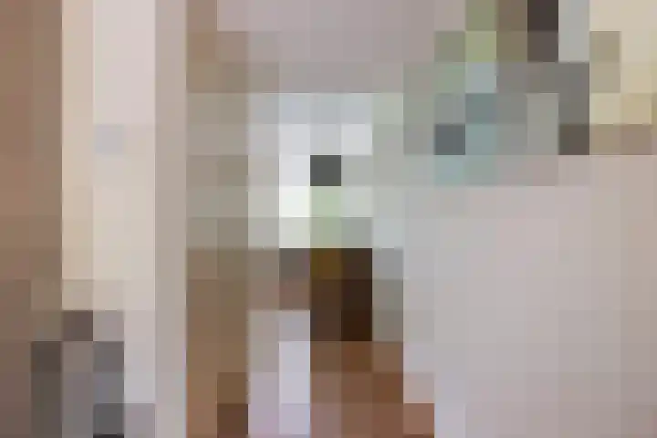 Schrijverspad 13 Woerden thumbnail 10