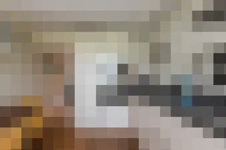 Schrijverspad 13 Woerden thumbnail 13