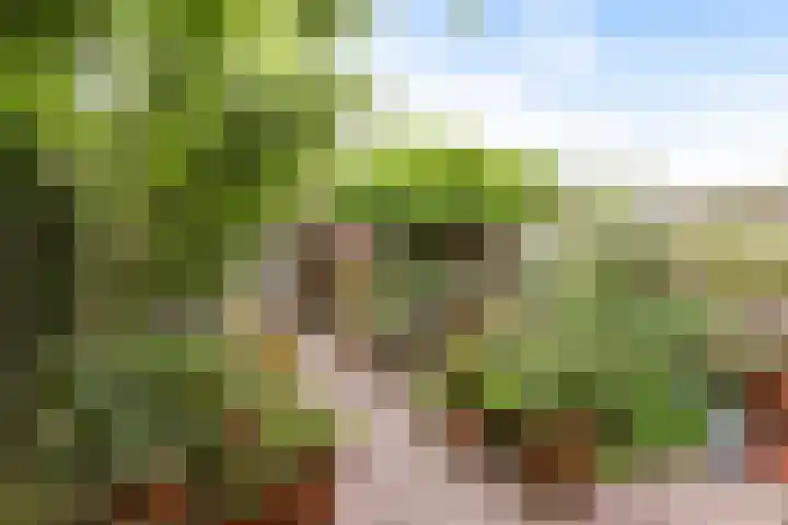 Schrijverspad 13 Woerden thumbnail 16