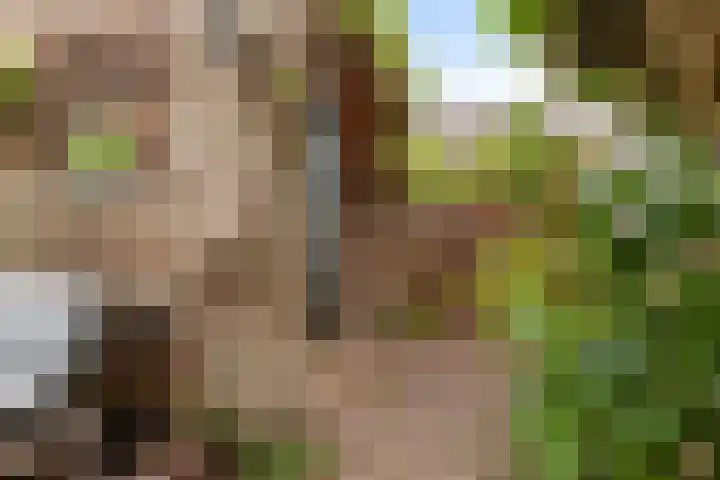 Schrijverspad 13 Woerden thumbnail 18
