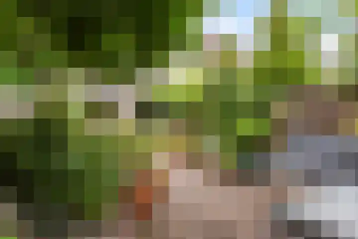 Schrijverspad 13 Woerden thumbnail 19