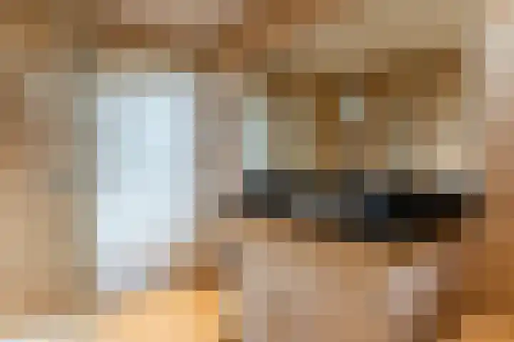 Schrijverspad 13 Woerden thumbnail 27