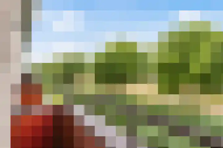 Schrijverspad 13 Woerden thumbnail 34