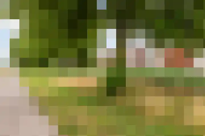 Schrijverspad 13 Woerden thumbnail 37