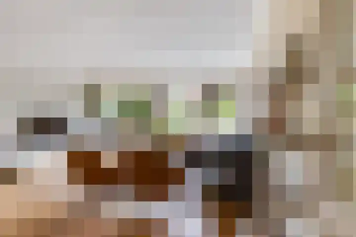 Schrijverspad 13 Woerden thumbnail 6