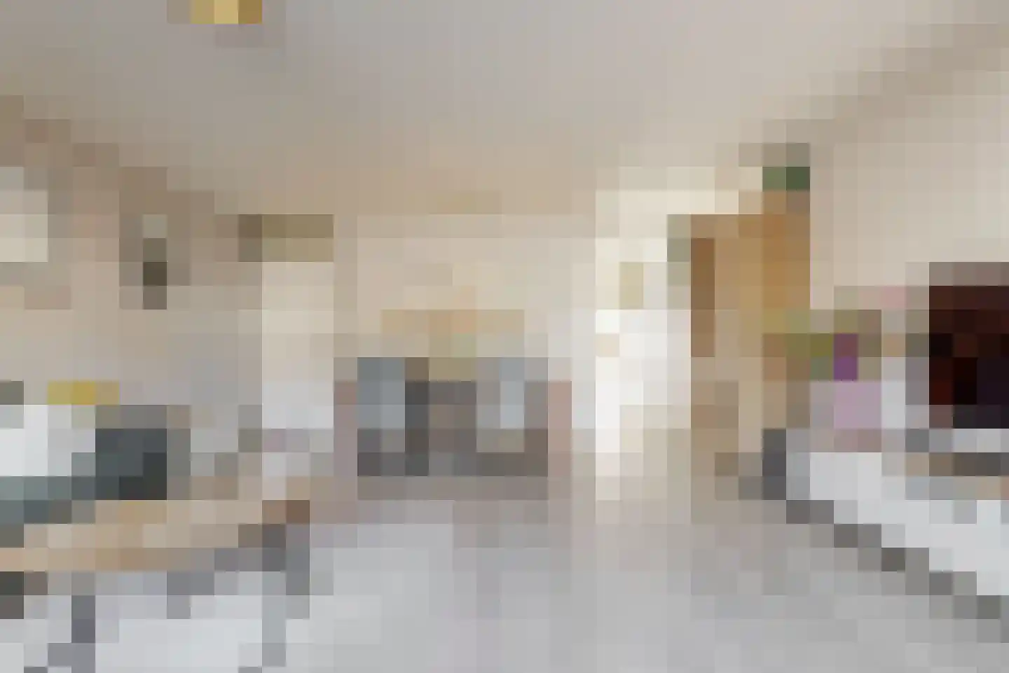 Schrijverspad 29 Woerden thumbnail 17