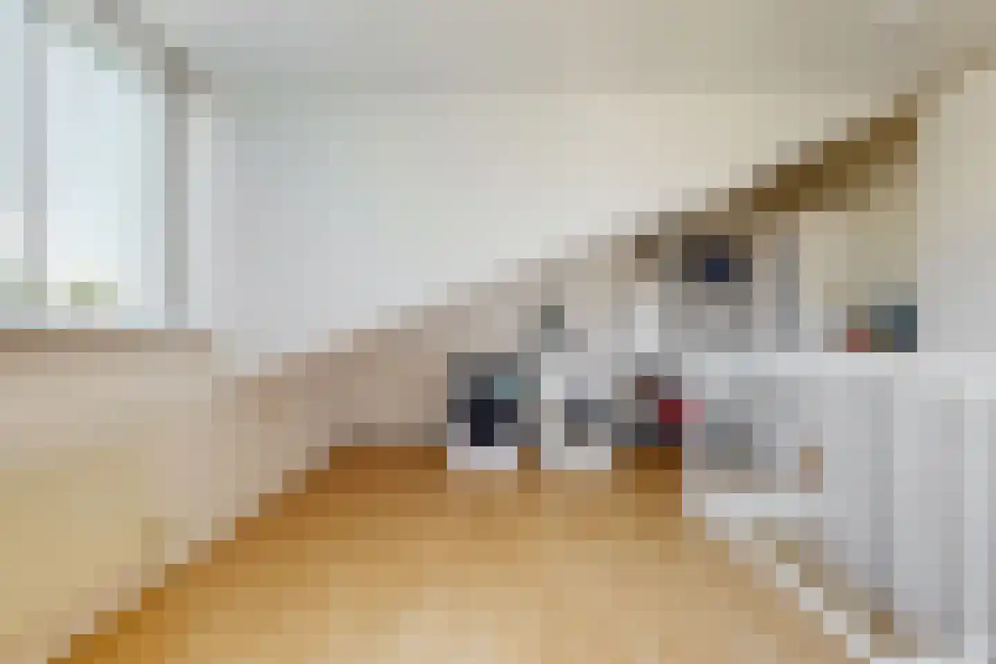 Schrijverspad 29 Woerden thumbnail 33
