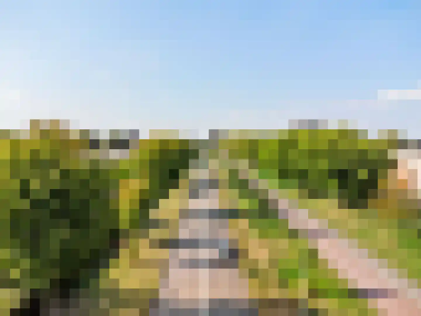 Schrijverspad 29 Woerden thumbnail 49