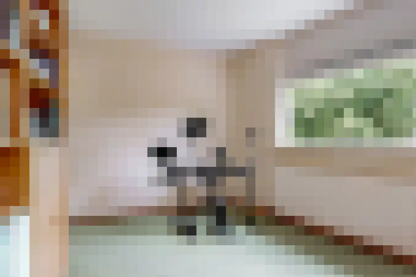 Schrijverspad 60 Woerden thumbnail 11