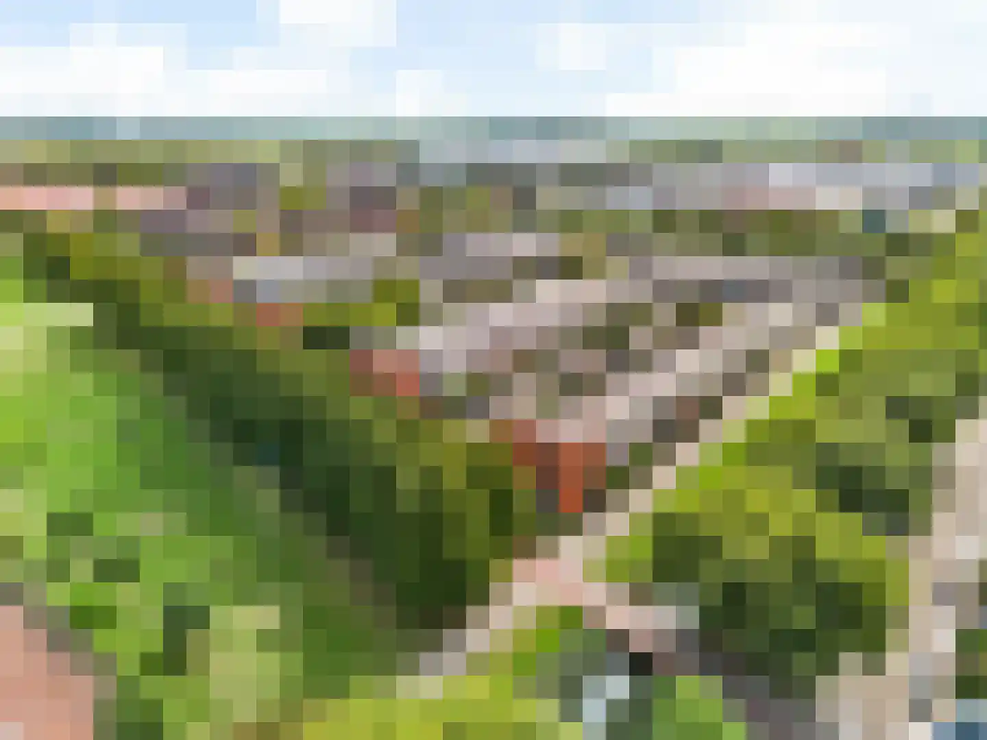 Schrijverspad 60 Woerden thumbnail 13
