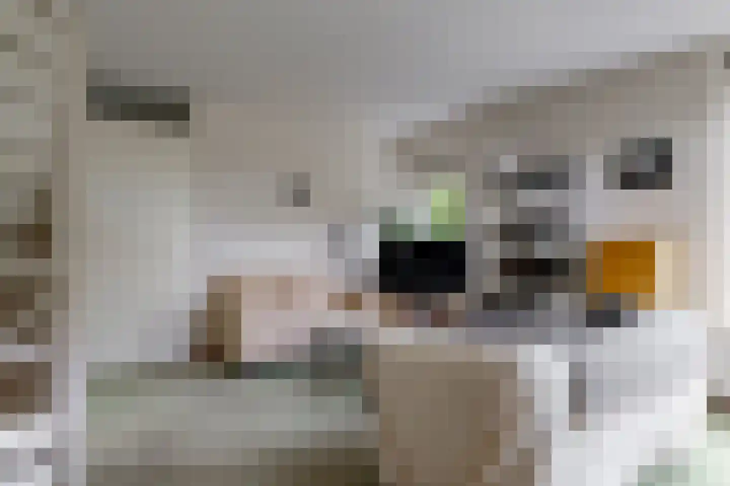 Schrijverspad 60 Woerden thumbnail 23