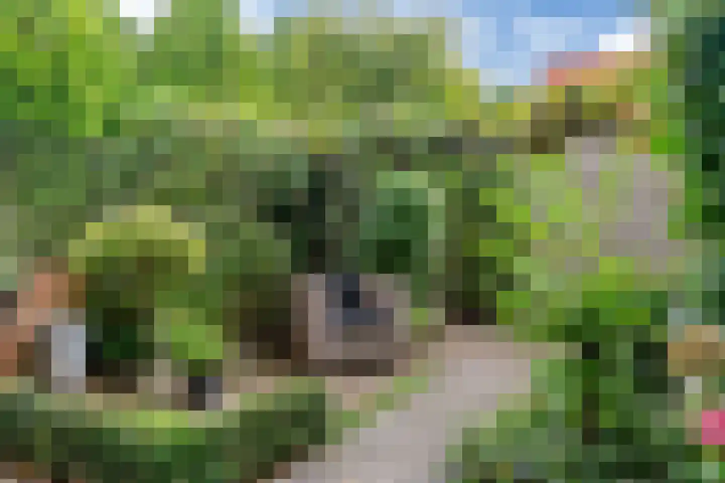 Schrijverspad 60 Woerden thumbnail 33