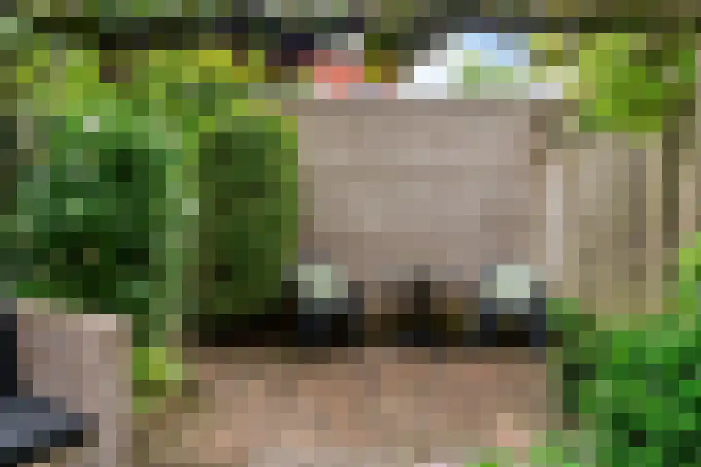 Schrijverspad 60 Woerden thumbnail 35