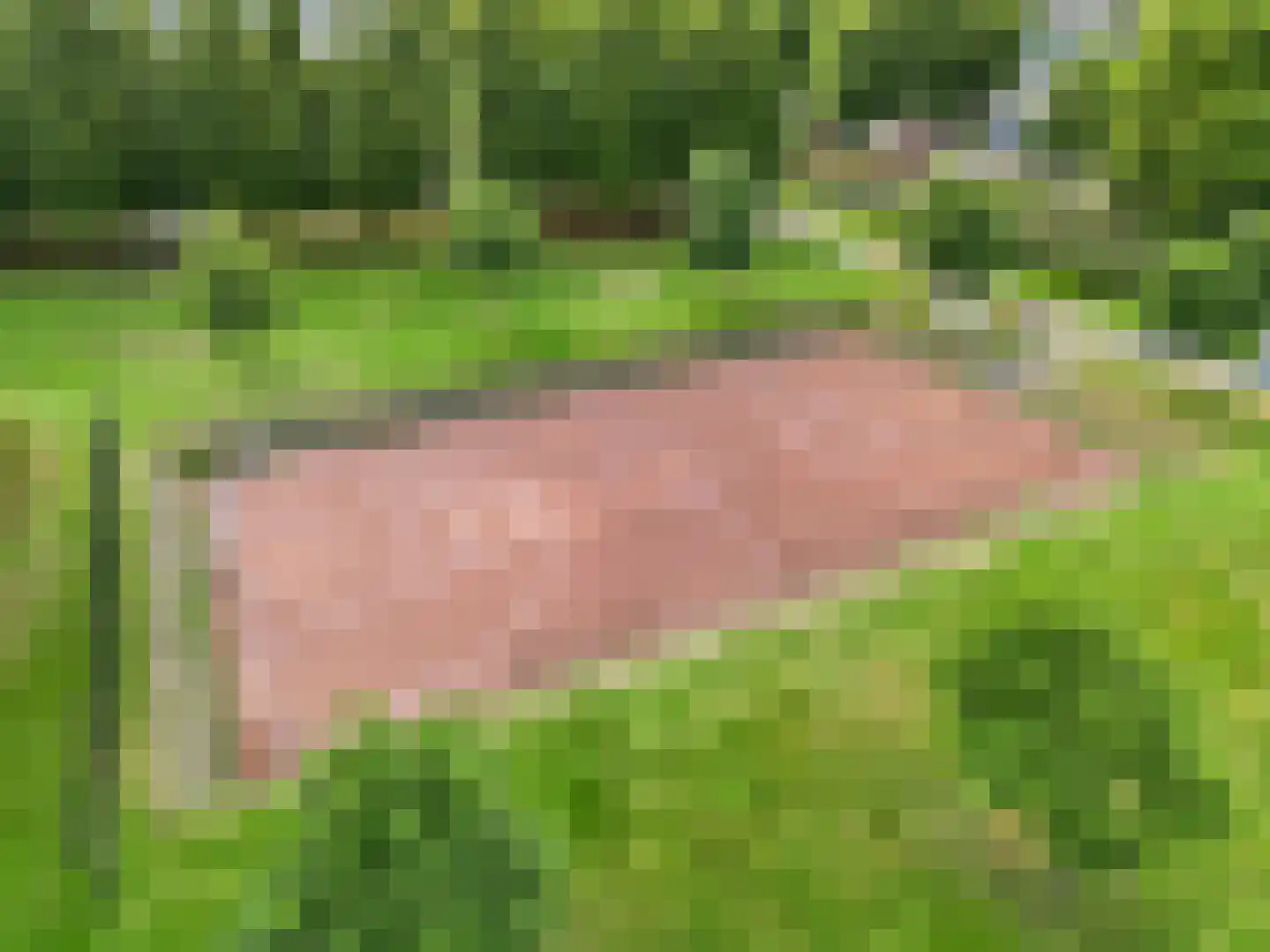 Schrijverspad 60 Woerden thumbnail 42