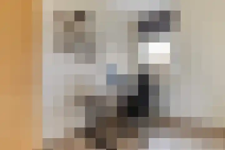 Schrijverspad 76 Woerden thumbnail 19