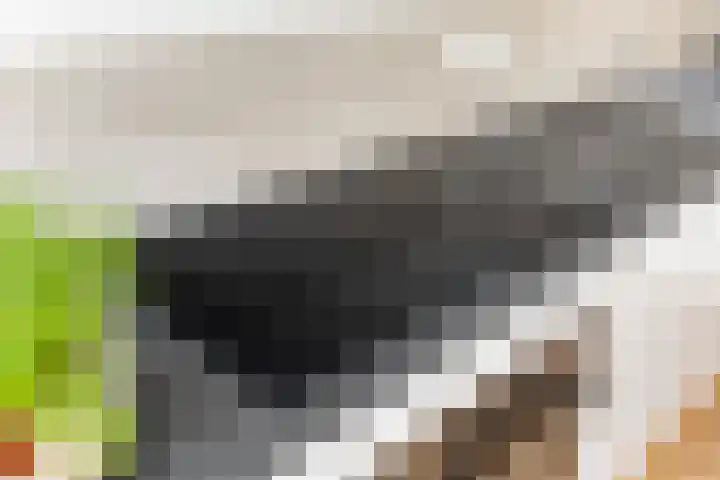 Schrijverspad 8 Woerden thumbnail 18