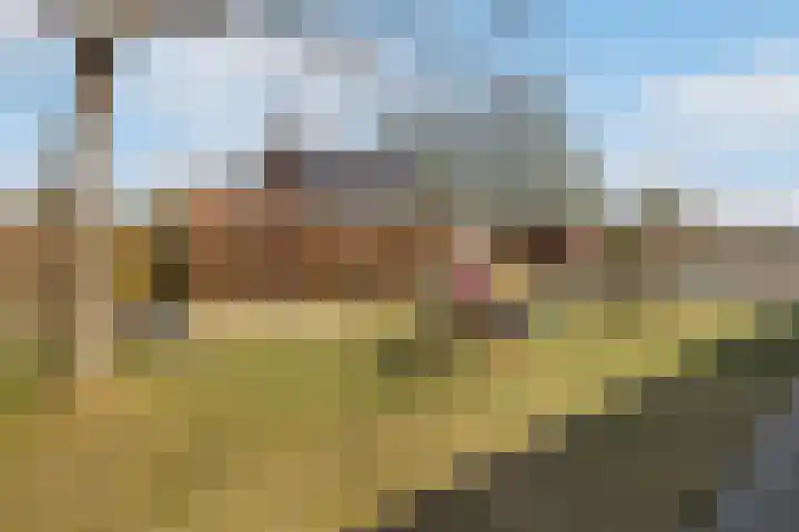Schrijverspad 8 Woerden thumbnail 39