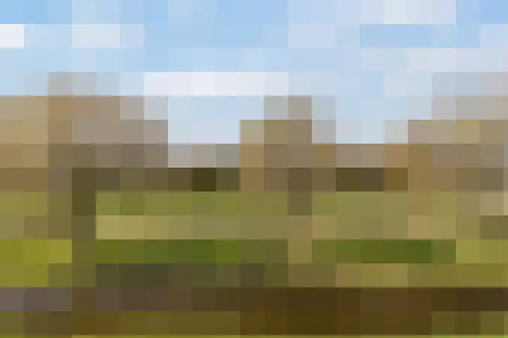 Schrijverspad 8 Woerden thumbnail 40