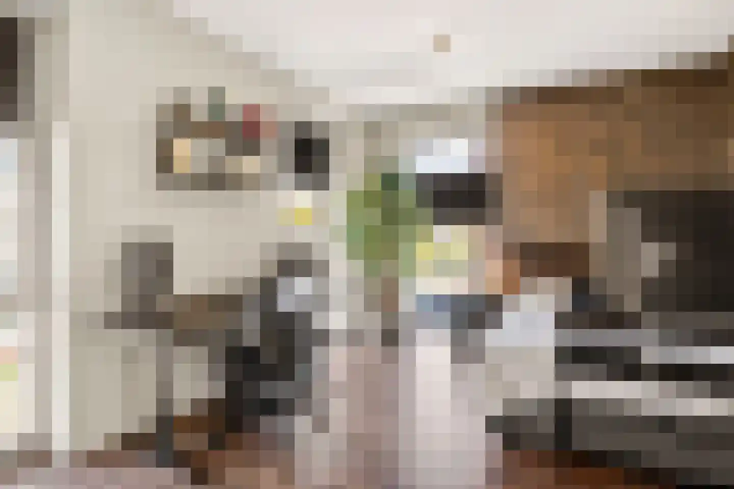 Schrijverspark 10 Veenendaal thumbnail 33
