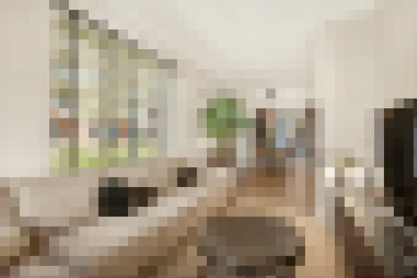 Schrijverspark 10 Veenendaal thumbnail 9