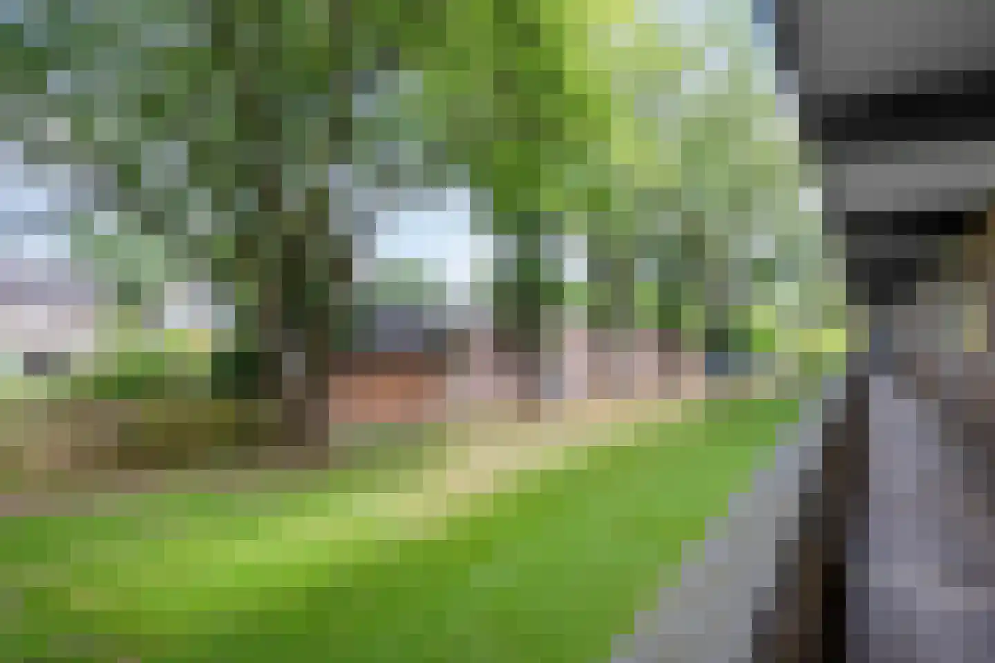 Schrijverspark 103 Veenendaal thumbnail 7