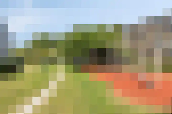 Schrijverspark 131 02 Veenendaal thumbnail 16
