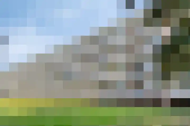 Schrijverspark 131 02 Veenendaal thumbnail 17